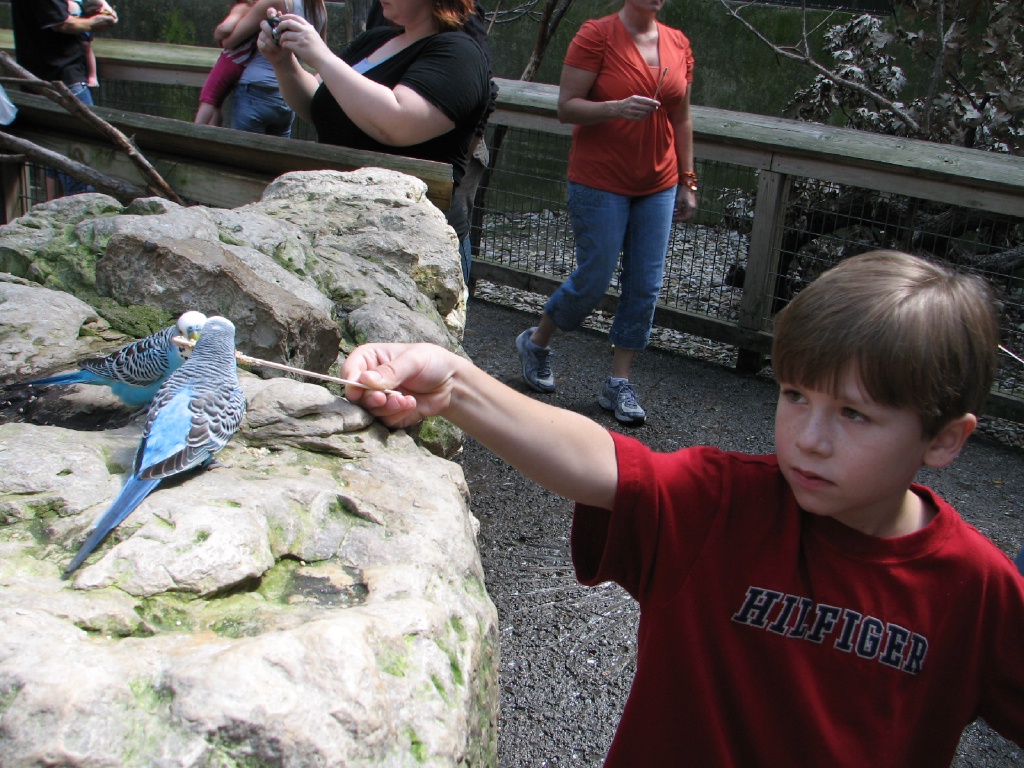 2009/10(October)/Fort_Worth_Zoo/1024x768_20100206 499.JPG